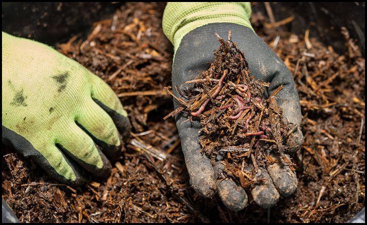 Benefits of DIY Mulch