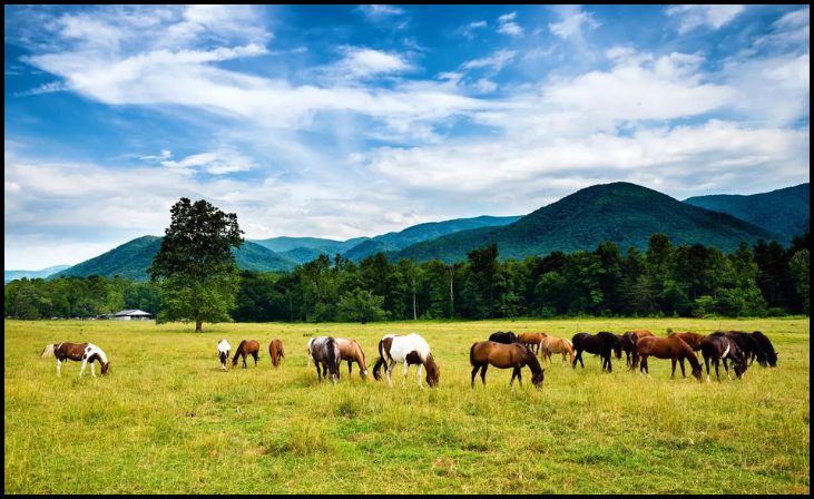 Cades Cove