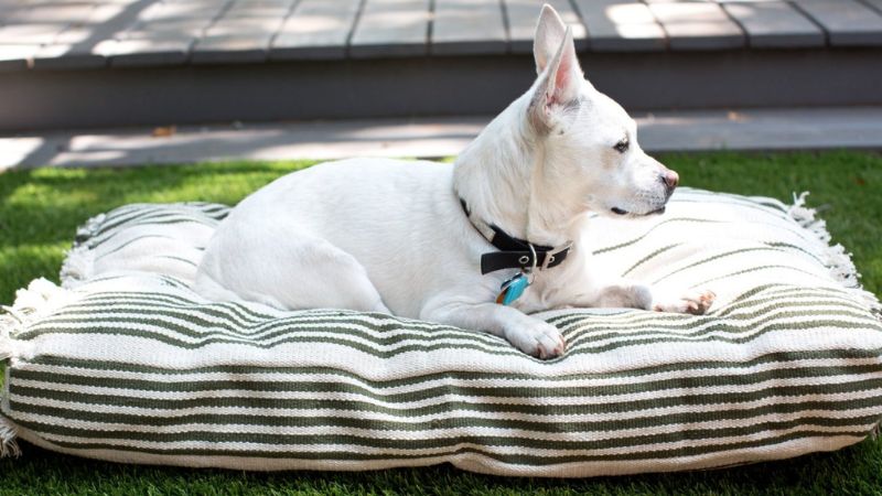 How to Make a Pet Bed Slipcover From a Flat-Weave Rug